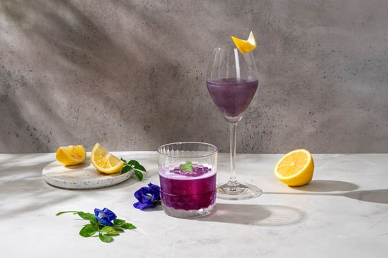 SCB Card X x ONYX Dining - OZO Северная Паттайя